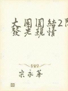 大团圆结2闪闪发光亲情