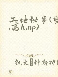 工地秘事(双性,高h,np)