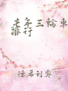 老年三轮车品牌排行