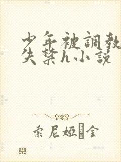 少年被调教爽到失禁h小说
