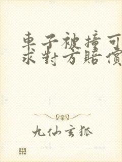 车子被撞可以要求对方赔偿误工费吗