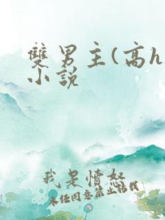 双男主(高h)小说