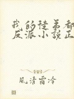 我的徒弟都是大反派小说正版 我的徒弟都是大反派小说正版
