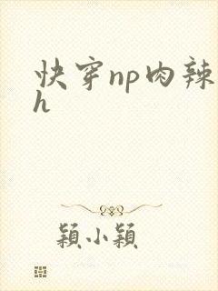 快穿np肉辣高h