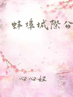 蚌埠城际公交