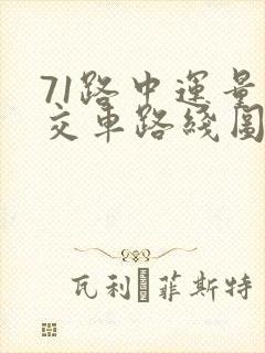 71路中运量公交车路线图