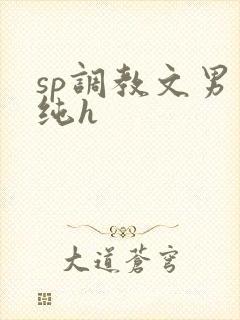 sp调教文男男纯h