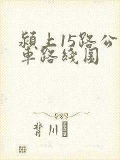 颍上15路公交车路线图
