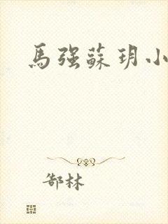 马强苏玥小说