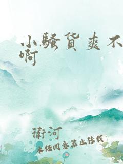 小骚货爽不爽啊啊