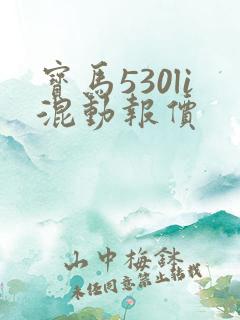 宝马530li混动报价