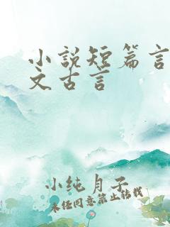 小说短篇言情甜文古言