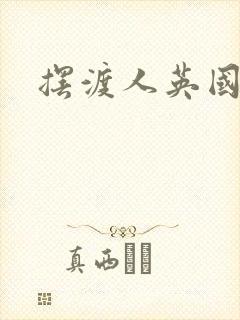 摆渡人英国小说
