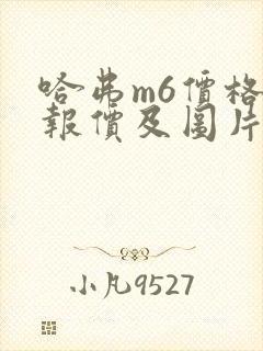 哈弗m6价格表报价及图片