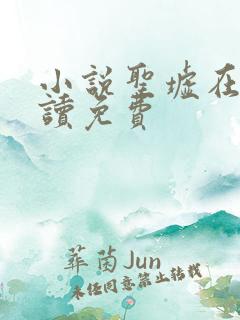 小说圣墟在线阅读免费