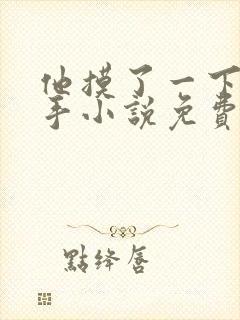 他摸了一下我的手小说免费阅读