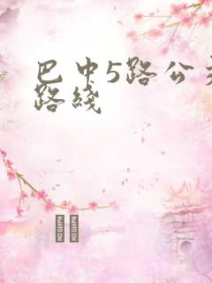 巴中5路公交车路线
