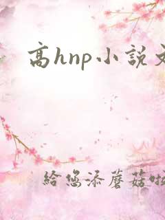 高hnp小说文