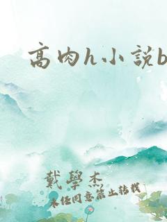 高肉h小说bl 高肉h小说bl