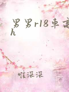 男男r18车高h