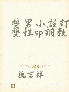 双男小说打屁股双性sp调教
