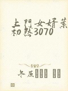 上门女婿叶辰萧初然3070