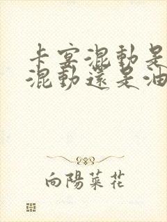 卡宴混动是插电混动还是油电混动