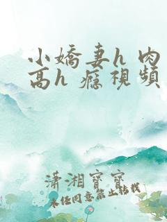 小娇妻h 肉 高h 瘾视频 小娇妻h 肉 高h 瘾视频