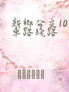 新乡公交10路车路线路