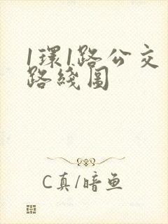1环1路公交车路线图 1环1路公交车路线图