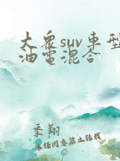 大众suv车型油电混合