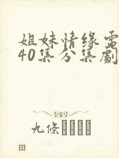姐妹情缘电视剧40集分集剧情