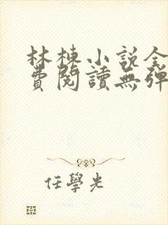 林栋小说全文免费阅读无弹窗