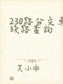 230路公交车线路查询