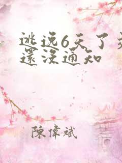 逃逸6天了交警还没通知