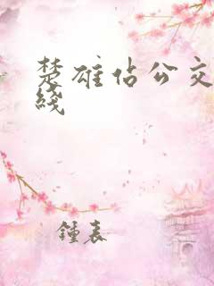 楚雄站公交车路线