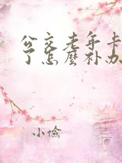 公交老年卡丢失了怎么补办新卡