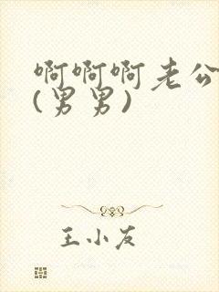 啊啊啊老公轻点(男男)