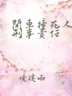 开车撞死人要负刑事责任