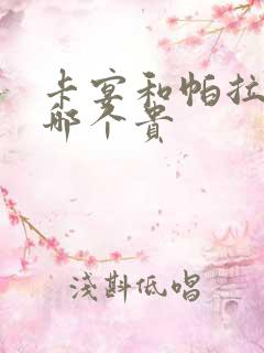 卡宴和帕拉梅拉哪个贵