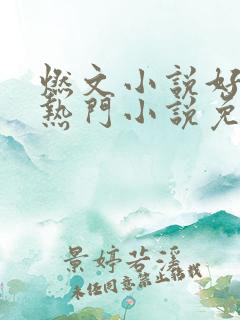 燃文小说好看的热门小说免费阅读