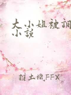 大小姐被调教的小说