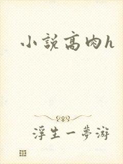 小说高肉h