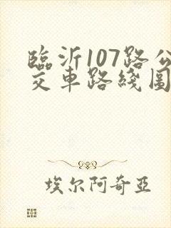 临沂107路公交车路线图