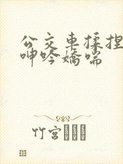公交车揉捏大乳呻吟娇喘