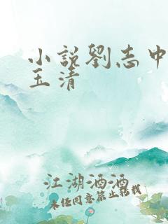 小说刘志中与卢玉清