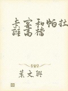 卡宴和帕拉梅拉谁高档