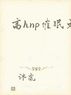 高hnp催眠文