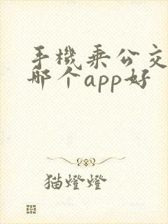 手机乘公交地铁哪个app好