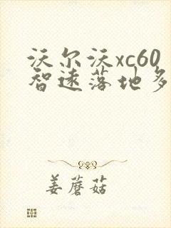 沃尔沃xc60智远落地多少钱